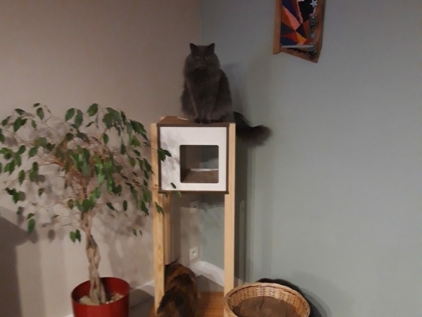 Tout en haut, l'ancienne ventilation