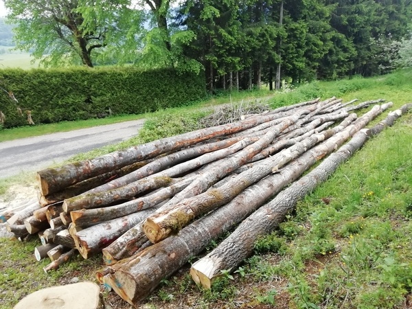 @dependancebois: voilà pourquoi je préfère la tronçonneuse à la katanaboy pour mon bois de chauffage...