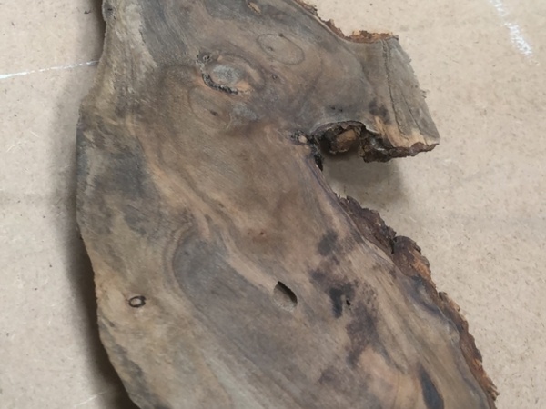 Une petite tranche de la bête