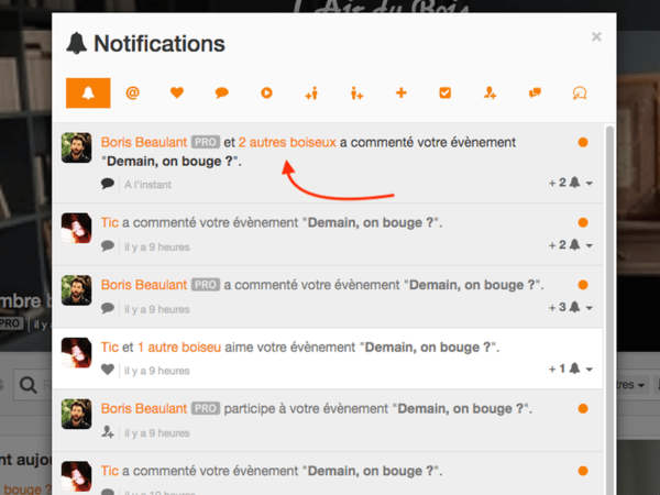 Nombre d'autre boiseux ayant eu une action similaire