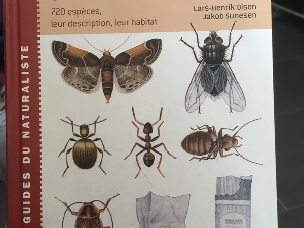 L'Air du Bois
