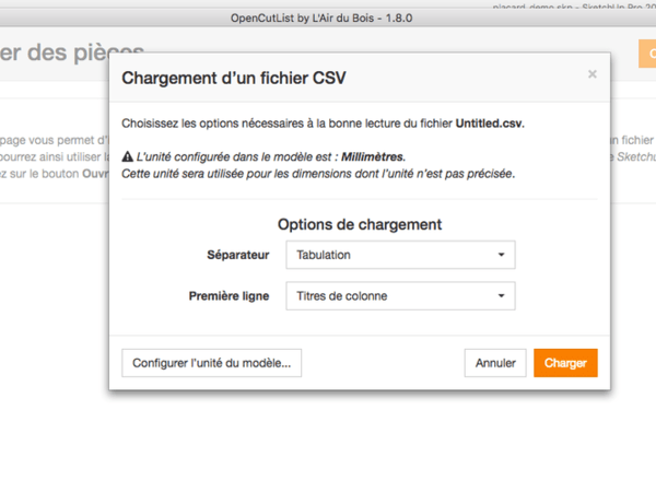 OpenCutList Importer : Options de lecture