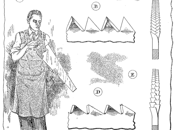 B, C: denture à tronçonner. D, E: denture à déligner. La suite dans les ouvrages de Lemonon (cf source) !