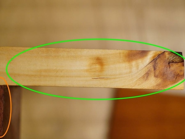 orange: noyer ?; vert: peuplier