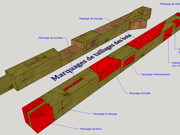 Différents  marquages utiles à la taille des bois .