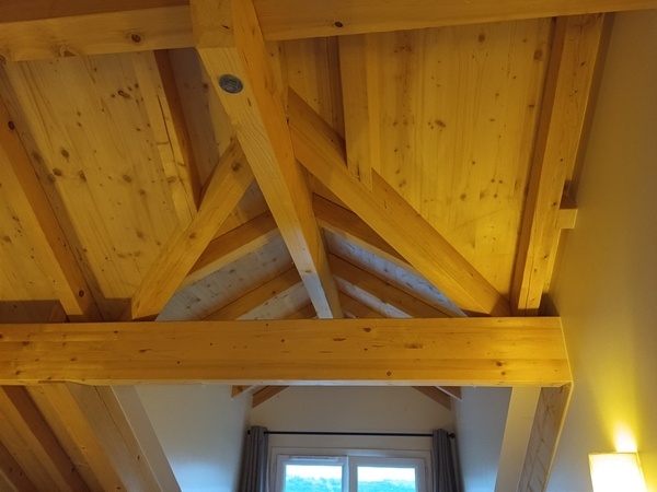 La jacobine de ma chambre, avec ses noulets faces aplomb.