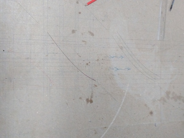 développement du petit limon