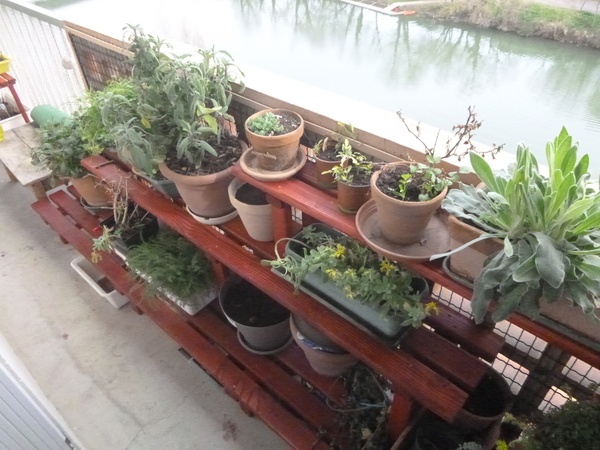 Etagères à plantes et Aménagement de Balcon
