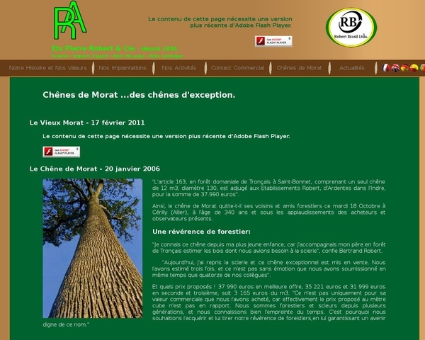 Du chêne pour Notre Dame ?