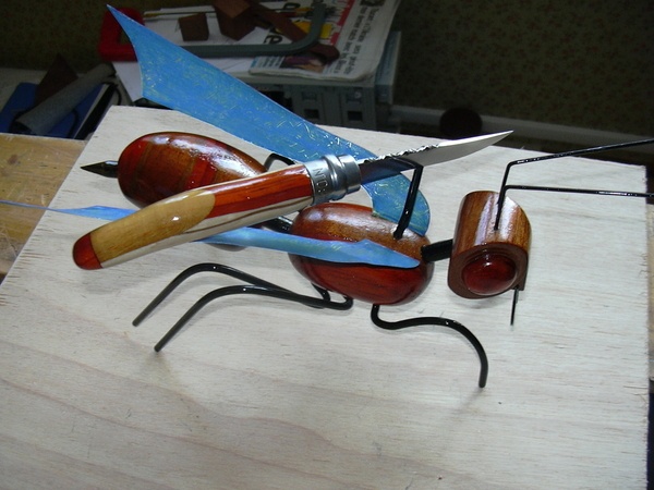 La fourmi Porteuse .....