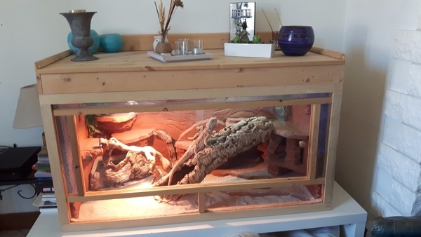 Tiroir de rangement sur terrarium