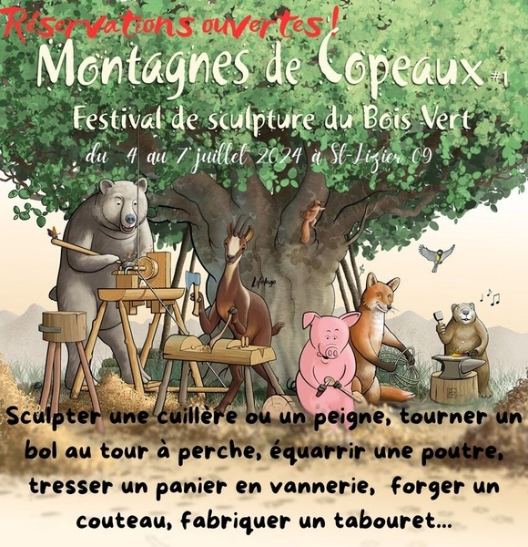 Montagne de copeaux première édition