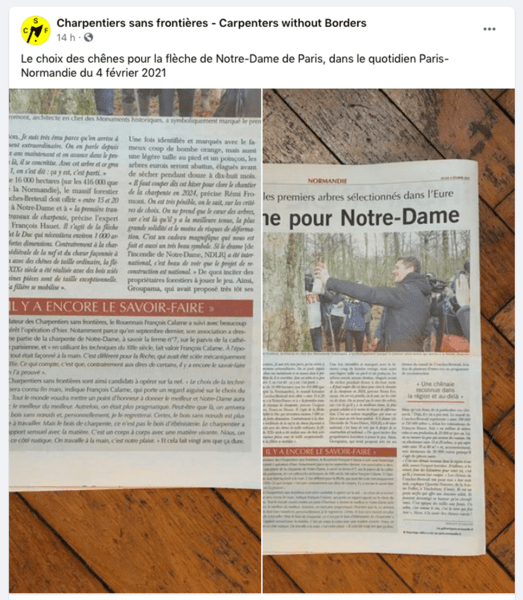 Des chênes pour Notre-Dame