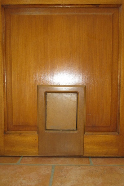 Chatière : Montée et teintée