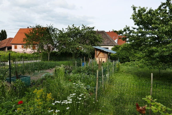 Poulailler à colombages bioclimatique