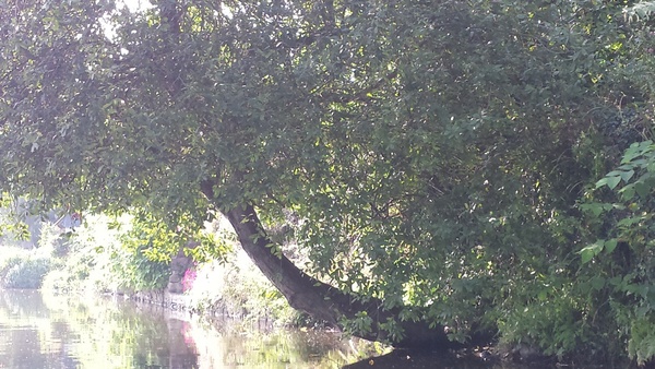 Pour faire un limon d'escalier