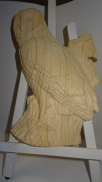 Chouette  non ...???