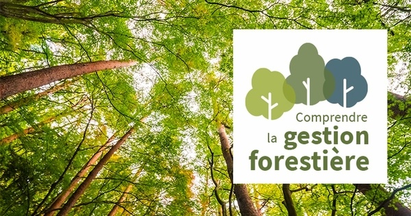 MOOC: Comprendre la gestion forestière