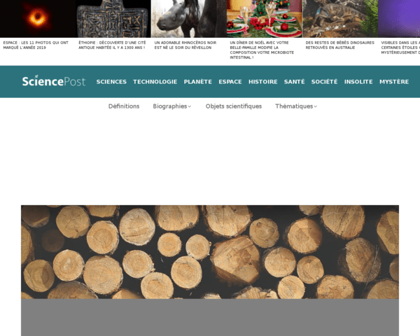 Au fond du bois, la lumiere