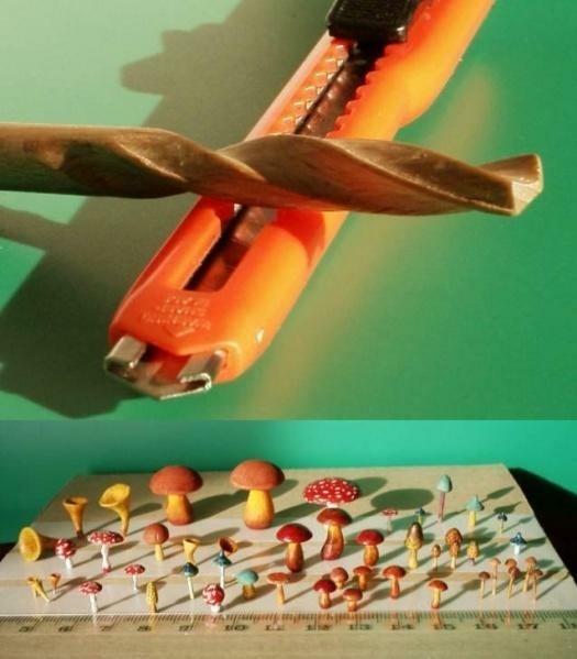 Foret et champignons