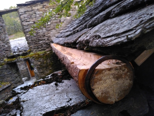 Gouttiere en bois de Meleze