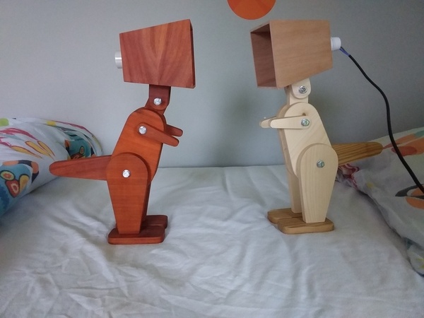 Duo de lampe de chevet