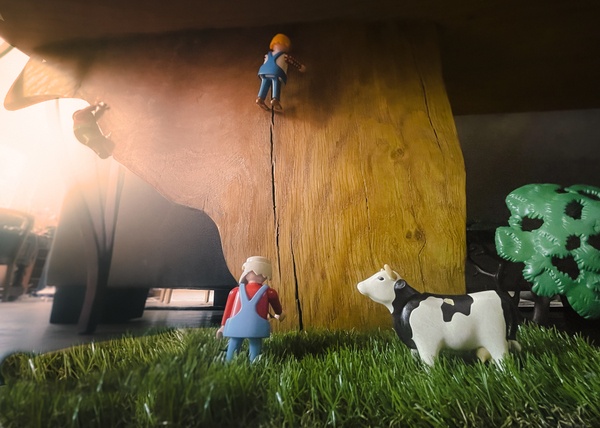 Un rocher d'escalade... ou bien une table ?