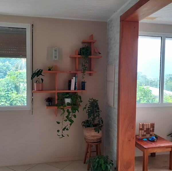 Étagère à plantes