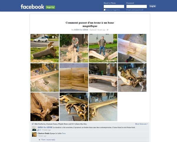 Un banc dans un tronc