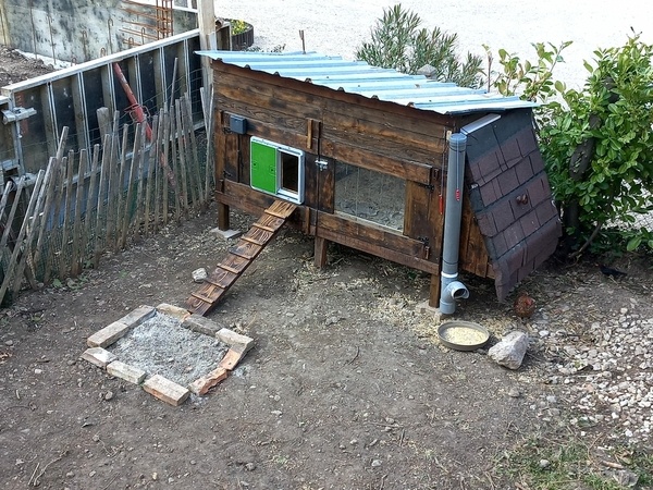 Poulailler en planches de récupération