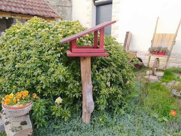 Mangeoire à oiseaux