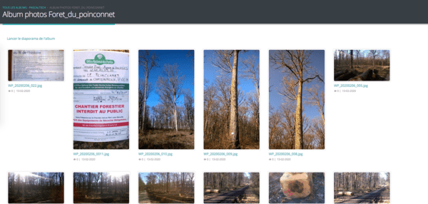 Ces nobles messieux qui nous regardent de haut