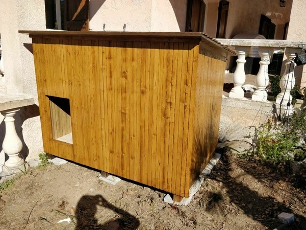 Niche pour gros chien avec isolation thermique