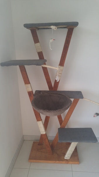 Arbre à chat