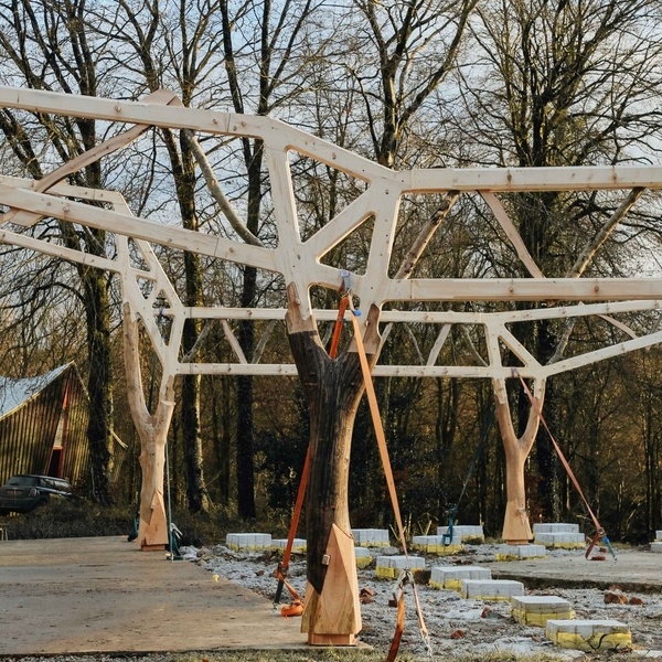 Charpente et arbres tordus ?