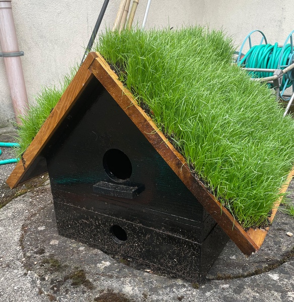 Nichoir  avec  gazon