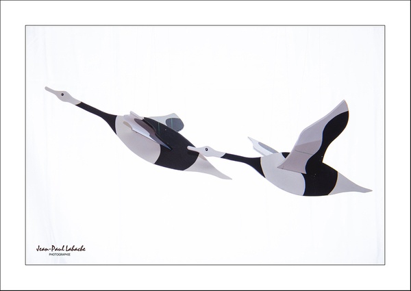 Mobile Oiseaux