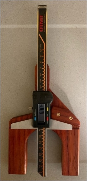 Jauge de profondeur mutualisée