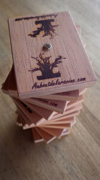 Les magnets auboutdelaravine