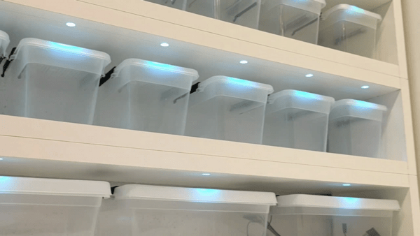 Un casier de rangement numérique