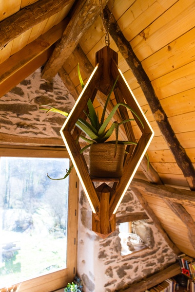 Lustre LED avec plante verte