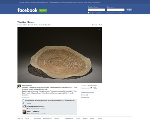 Quand le bois ressemble à de la dentelle