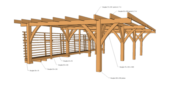 Carport préau bûcher 90 m2 avec aisseliers courbes