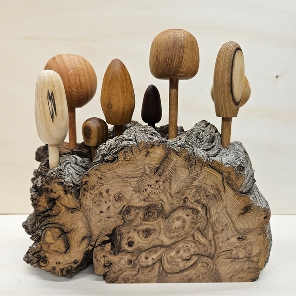 Encore une forêt "naïve" ...