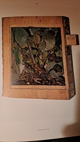 Incroyable xylothèque !