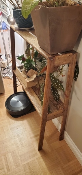 Étagère pour plantes