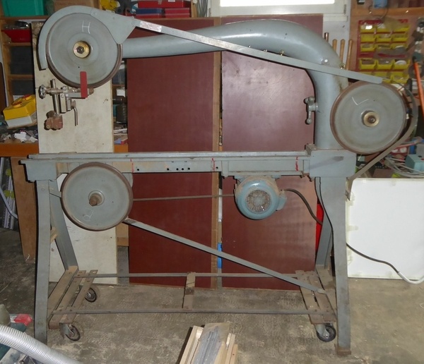 Zeu bête rare est rentrée à l'atelier.