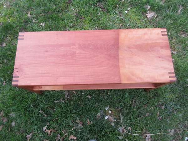 Un banc pour le p'tit cereus