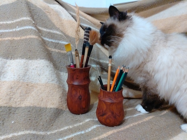 Première Réalisation en Tournage