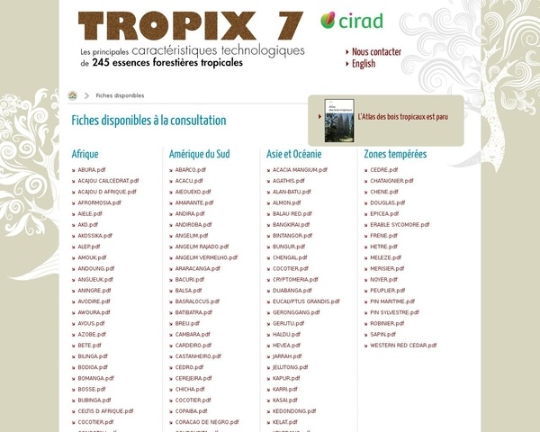 Fiche de bois par le Cirad